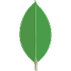 MongoDB