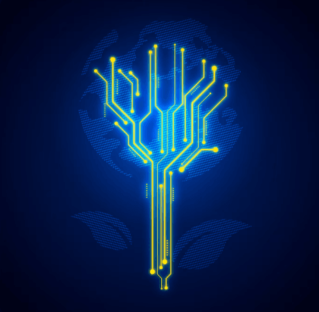 Custom AI/ML Solutions