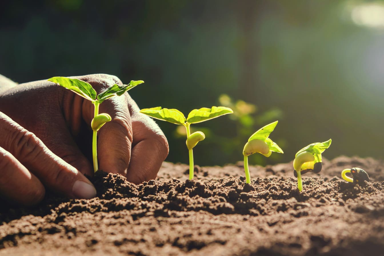 Agriculture & Farming